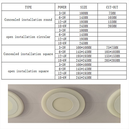 LED Two-Color Panel Light Flat Style
